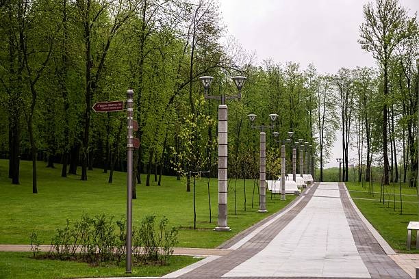 Premium Custom Pergola Systems Tailored to Your Outdoor Living Needs