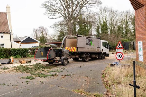 Reliable Jackson MI Tree Removal Services for Storm Damage Cleanup