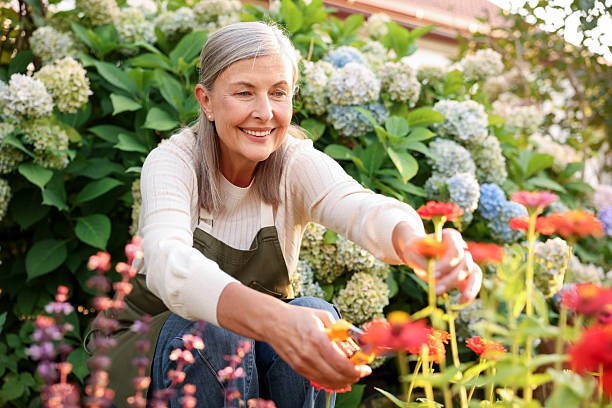 Keeping Your Garden Tools Sharp and Ready