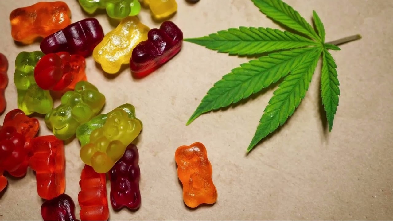 Compare the Most Popular Live Rosin Edibles Available This Year