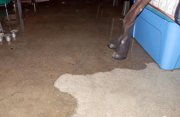 Comprehensive Flood Damage Cleanup and Restoration Services